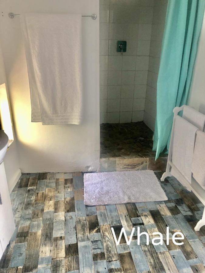 Ollava Guesthouse Simonʼs Town エクステリア 写真