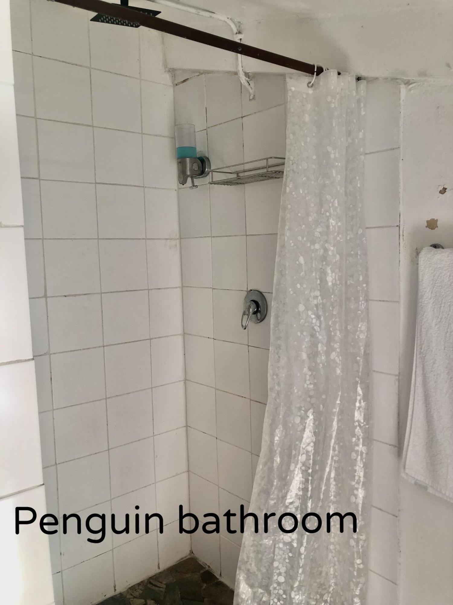 Ollava Guesthouse Simonʼs Town エクステリア 写真