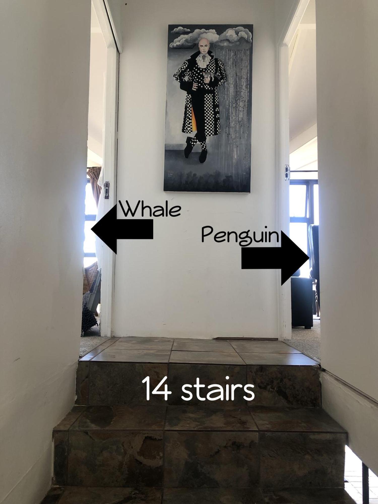 Ollava Guesthouse Simonʼs Town エクステリア 写真